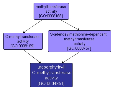 GO:0004851 - uroporphyrin-III C-methyltransferase activity (interactive image map)