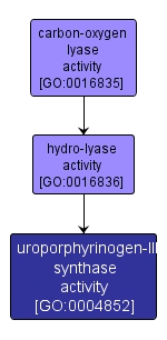 GO:0004852 - uroporphyrinogen-III synthase activity (interactive image map)