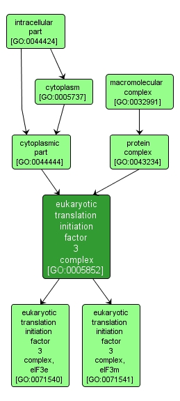 GO:0005852 - eukaryotic translation initiation factor 3 complex (interactive image map)