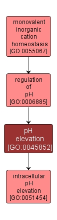 GO:0045852 - pH elevation (interactive image map)