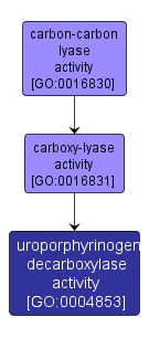 GO:0004853 - uroporphyrinogen decarboxylase activity (interactive image map)