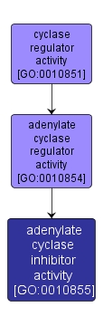 GO:0010855 - adenylate cyclase inhibitor activity (interactive image map)