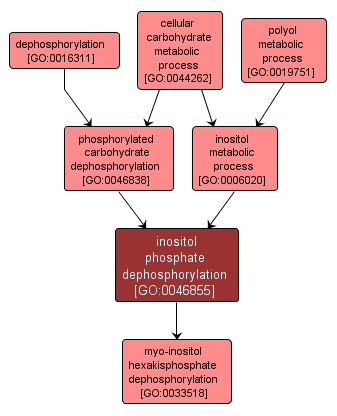 GO:0046855 - inositol phosphate dephosphorylation (interactive image map)