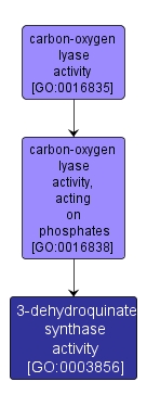 GO:0003856 - 3-dehydroquinate synthase activity (interactive image map)