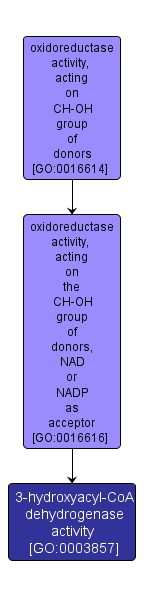 GO:0003857 - 3-hydroxyacyl-CoA dehydrogenase activity (interactive image map)