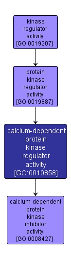 GO:0010858 - calcium-dependent protein kinase regulator activity (interactive image map)