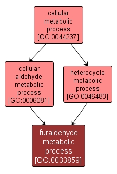 GO:0033859 - furaldehyde metabolic process (interactive image map)