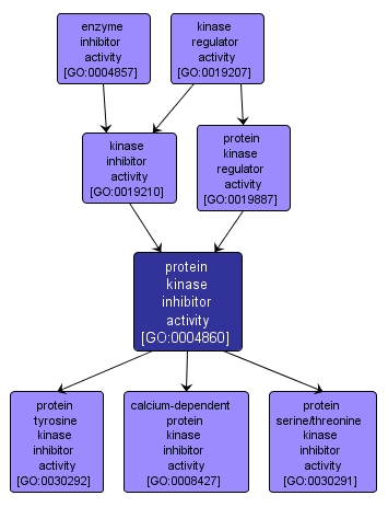 GO:0004860 - protein kinase inhibitor activity (interactive image map)