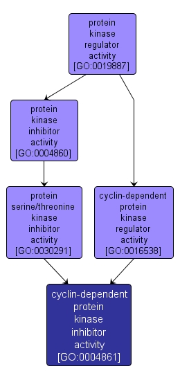 GO:0004861 - cyclin-dependent protein kinase inhibitor activity (interactive image map)