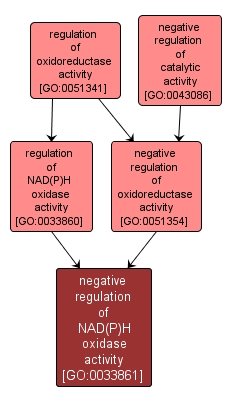 GO:0033861 - negative regulation of NAD(P)H oxidase activity (interactive image map)
