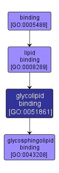GO:0051861 - glycolipid binding (interactive image map)
