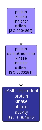 GO:0004862 - cAMP-dependent protein kinase inhibitor activity (interactive image map)