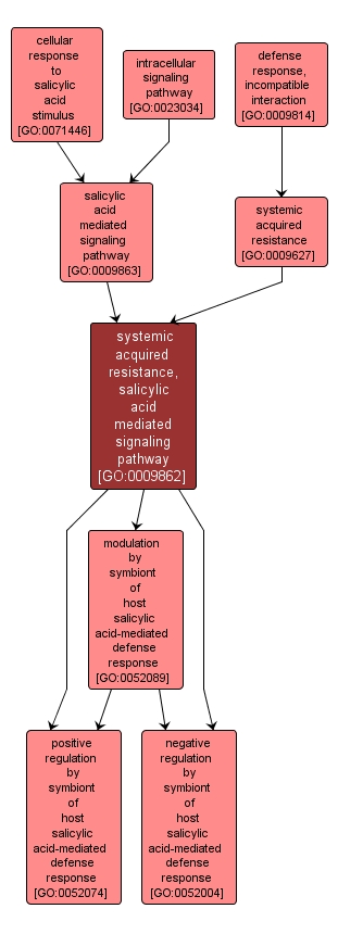 GO:0009862 - systemic acquired resistance, salicylic acid mediated signaling pathway (interactive image map)
