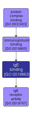 GO:0019863 - IgE binding (interactive image map)