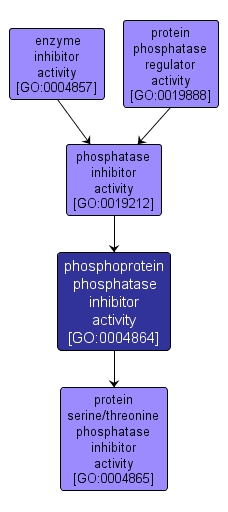 GO:0004864 - phosphoprotein phosphatase inhibitor activity (interactive image map)