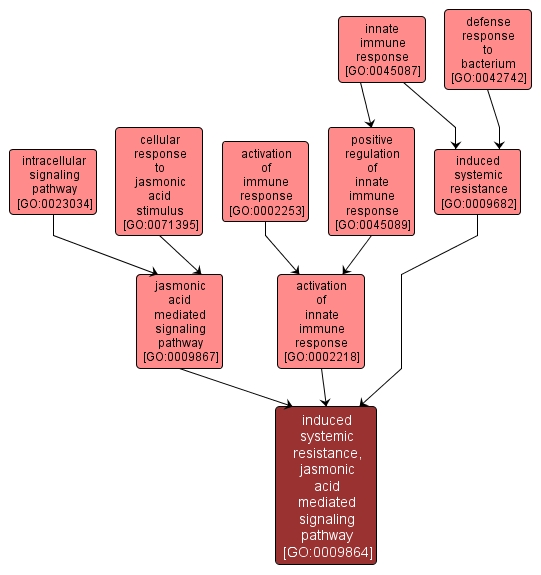 GO:0009864 - induced systemic resistance, jasmonic acid mediated signaling pathway (interactive image map)