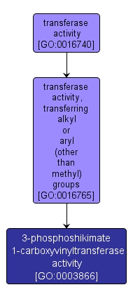 GO:0003866 - 3-phosphoshikimate 1-carboxyvinyltransferase activity (interactive image map)