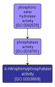 GO:0003869 - 4-nitrophenylphosphatase activity (interactive image map)