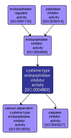 GO:0004869 - cysteine-type endopeptidase inhibitor activity (interactive image map)