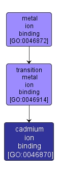 GO:0046870 - cadmium ion binding (interactive image map)