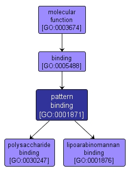 GO:0001871 - pattern binding (interactive image map)