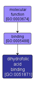 GO:0051871 - dihydrofolic acid binding (interactive image map)
