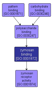GO:0001872 - zymosan binding (interactive image map)