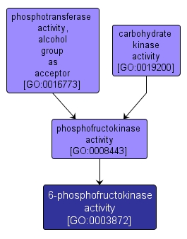 GO:0003872 - 6-phosphofructokinase activity (interactive image map)