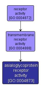 GO:0004873 - asialoglycoprotein receptor activity (interactive image map)