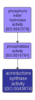 GO:0043874 - acireductone synthase activity (interactive image map)