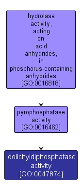 GO:0047874 - dolichyldiphosphatase activity (interactive image map)