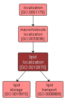 GO:0010876 - lipid localization (interactive image map)