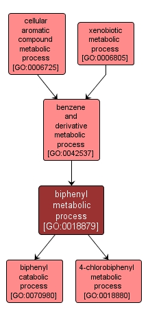 GO:0018879 - biphenyl metabolic process (interactive image map)