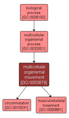 GO:0050879 - multicellular organismal movement (interactive image map)