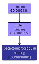 GO:0030881 - beta-2-microglobulin binding (interactive image map)