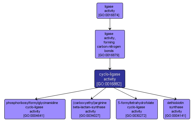 GO:0016882 - cyclo-ligase activity (interactive image map)