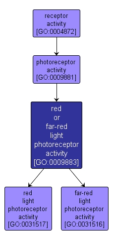 GO:0009883 - red or far-red light photoreceptor activity (interactive image map)