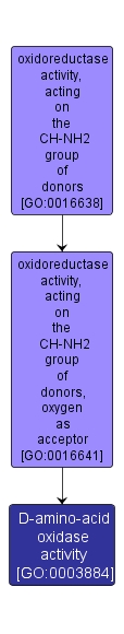 GO:0003884 - D-amino-acid oxidase activity (interactive image map)