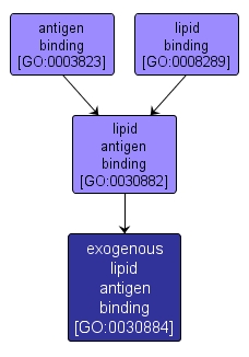 GO:0030884 - exogenous lipid antigen binding (interactive image map)