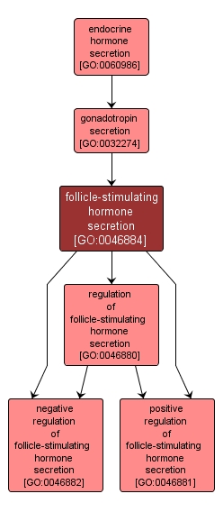 GO:0046884 - follicle-stimulating hormone secretion (interactive image map)