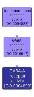 GO:0004890 - GABA-A receptor activity (interactive image map)