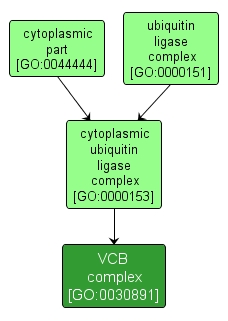 GO:0030891 - VCB complex (interactive image map)