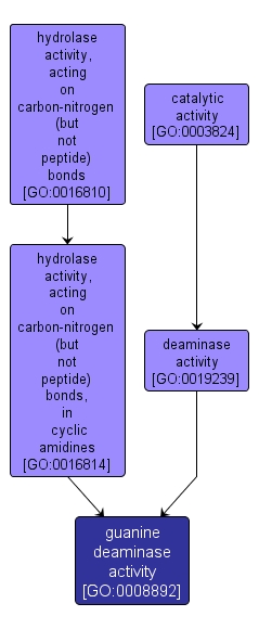 GO:0008892 - guanine deaminase activity (interactive image map)