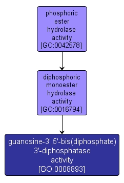 GO:0008893 - guanosine-3',5'-bis(diphosphate) 3'-diphosphatase activity (interactive image map)