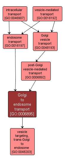 GO:0006895 - Golgi to endosome transport (interactive image map)