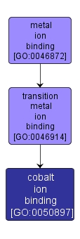 GO:0050897 - cobalt ion binding (interactive image map)