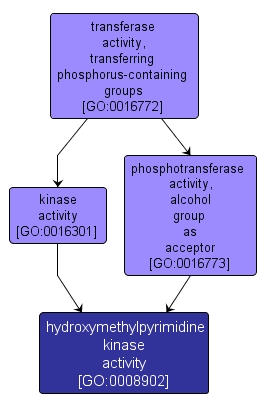 GO:0008902 - hydroxymethylpyrimidine kinase activity (interactive image map)