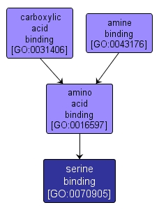 GO:0070905 - serine binding (interactive image map)