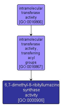 GO:0000906 - 6,7-dimethyl-8-ribityllumazine synthase activity (interactive image map)