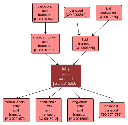 GO:0015908 - fatty acid transport (interactive image map)